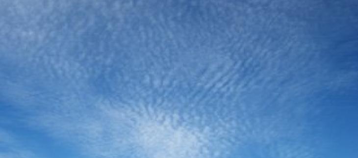 The cirrocumulus is shaped like a cotton flower