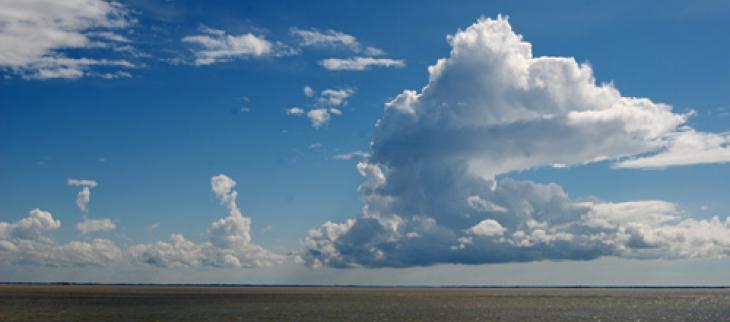 The cumulus congestus is a convective cloud that develops when the air is humid and unstable, it can give a cumulonimbus