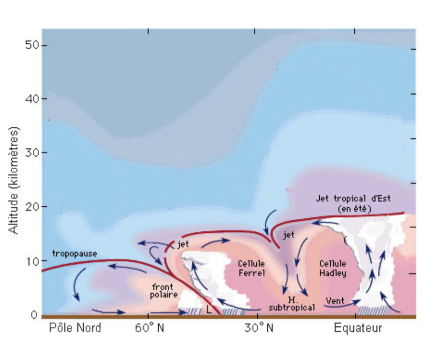 Meteorological cell diagram